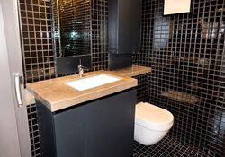 Skysuites@Anson (D2), Apartment #553488931